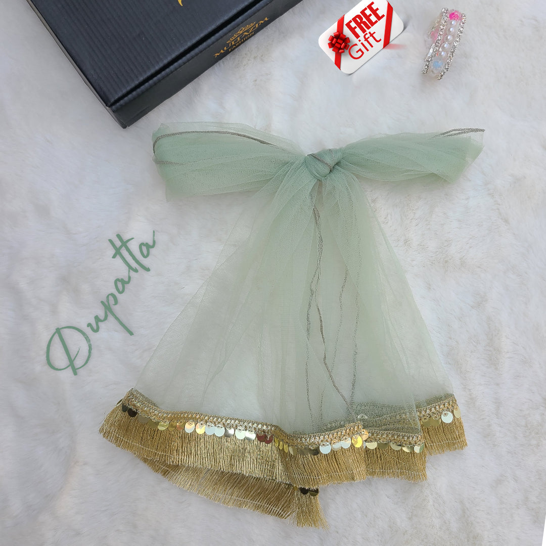 The Noor-e-Chaman Sharara Set with Matching Potli Bag Code-BG-1534