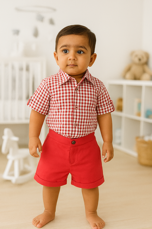 Boys Summer Shirt & Half Pant Set-BS-26