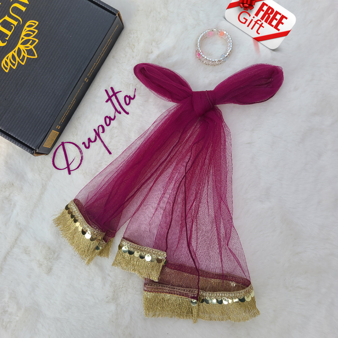 Jamun Bahar Sharara Set with Matching Potli Bag Code-BG-1539