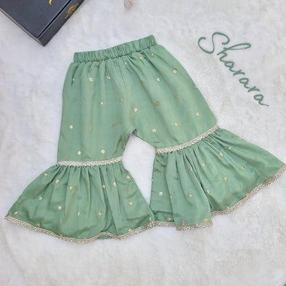 The Noor-e-Chaman Sharara Set with Matching Potli Bag Code-BG-1534